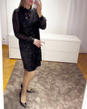 Elegant Mesh Sleeve Dress