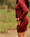 Solid Color Knitted Hooded Dress