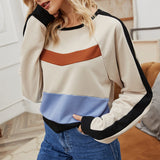 Panelled Cropped Sweatshirt