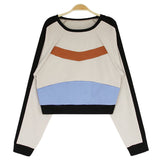 Panelled Cropped Sweatshirt