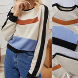 Panelled Cropped Sweatshirt