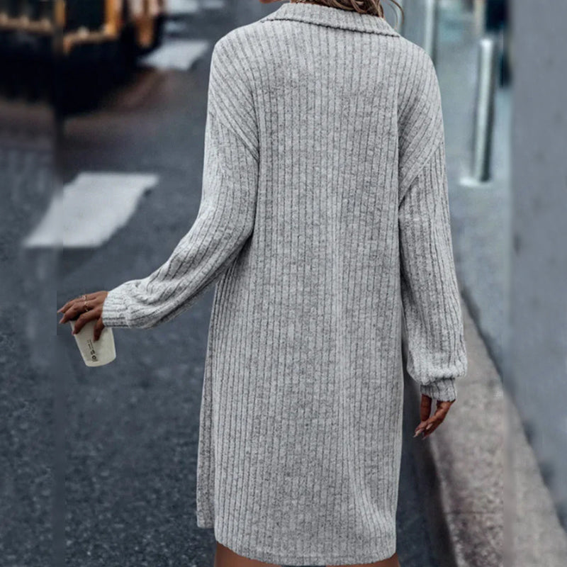 Solid Color Shift Dress with Long Sleeves and Zipper