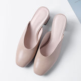 Women Chunky Heel Mules
