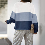Crew Neck Color Block Knit Sweater