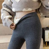 Fleece Lined High Waist Skinny Leggings